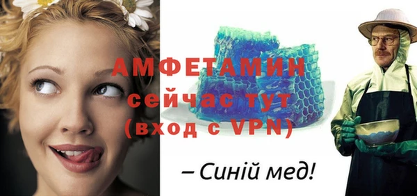 шишки Саяногорск