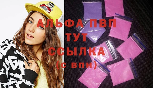 винт Сатка