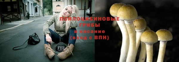 шишки Саяногорск