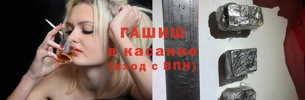 шишки Саяногорск