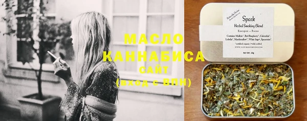 шишки Саяногорск