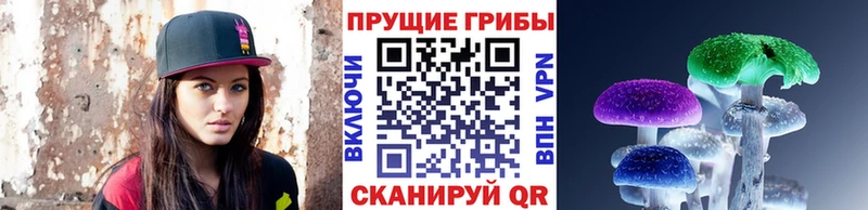 наркота  Клинцы  Галлюциногенные грибы Magic Shrooms 