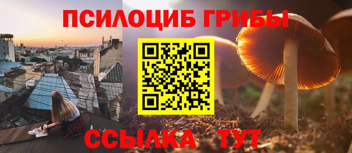 Клинцы  Галлюциногенные грибы мухоморы  Вход с VPN  Галлюциногенные грибы Psilocybe 