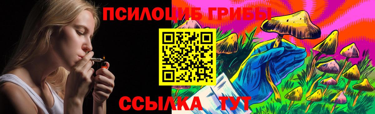 Псилоцибиновые грибы Psilocybe Клинцы